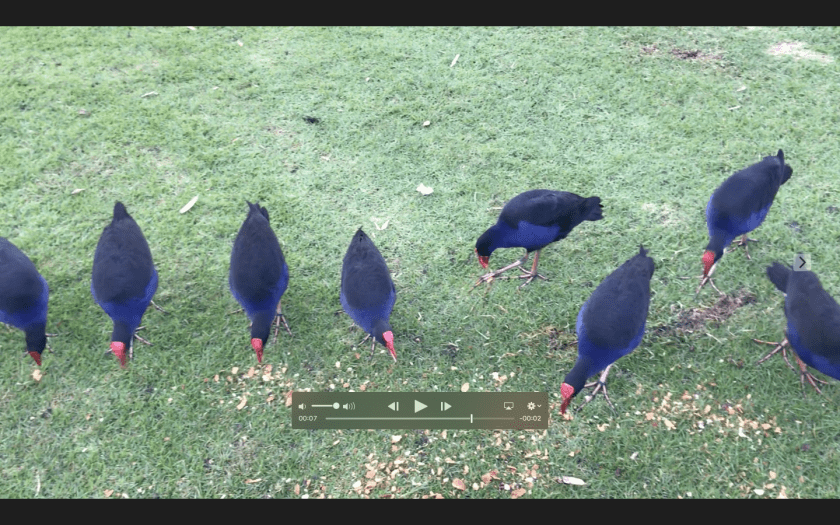 屏幕快照 2019-01-15 16.04.54