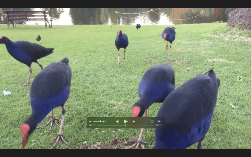 屏幕快照 2019-01-15 16.11.10